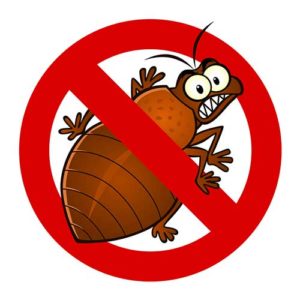 Copy of Bed Bug Service